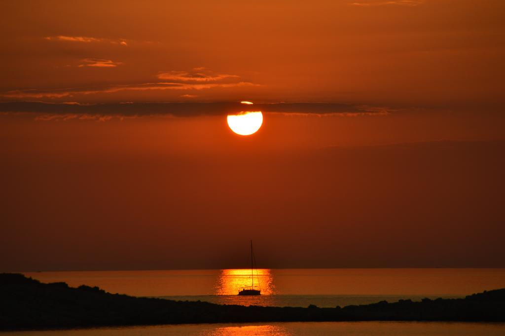 Direkt Am Meer-Apartments Puntaplanka ロゴズニッツァ エクステリア 写真